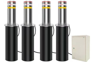 学校榴莲视频WWW免费观看